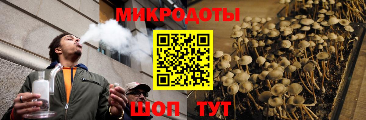 Псилоцибиновые грибы Psilocybe  Псилоцибиновые грибы Magic Shrooms  магазин продажи   Холмск  Вход с VPN 